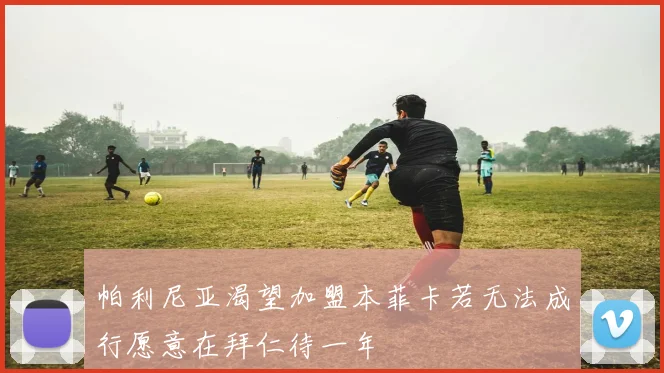 帕利尼亚渴望加盟本菲卡若无法成行愿意在拜仁待一年